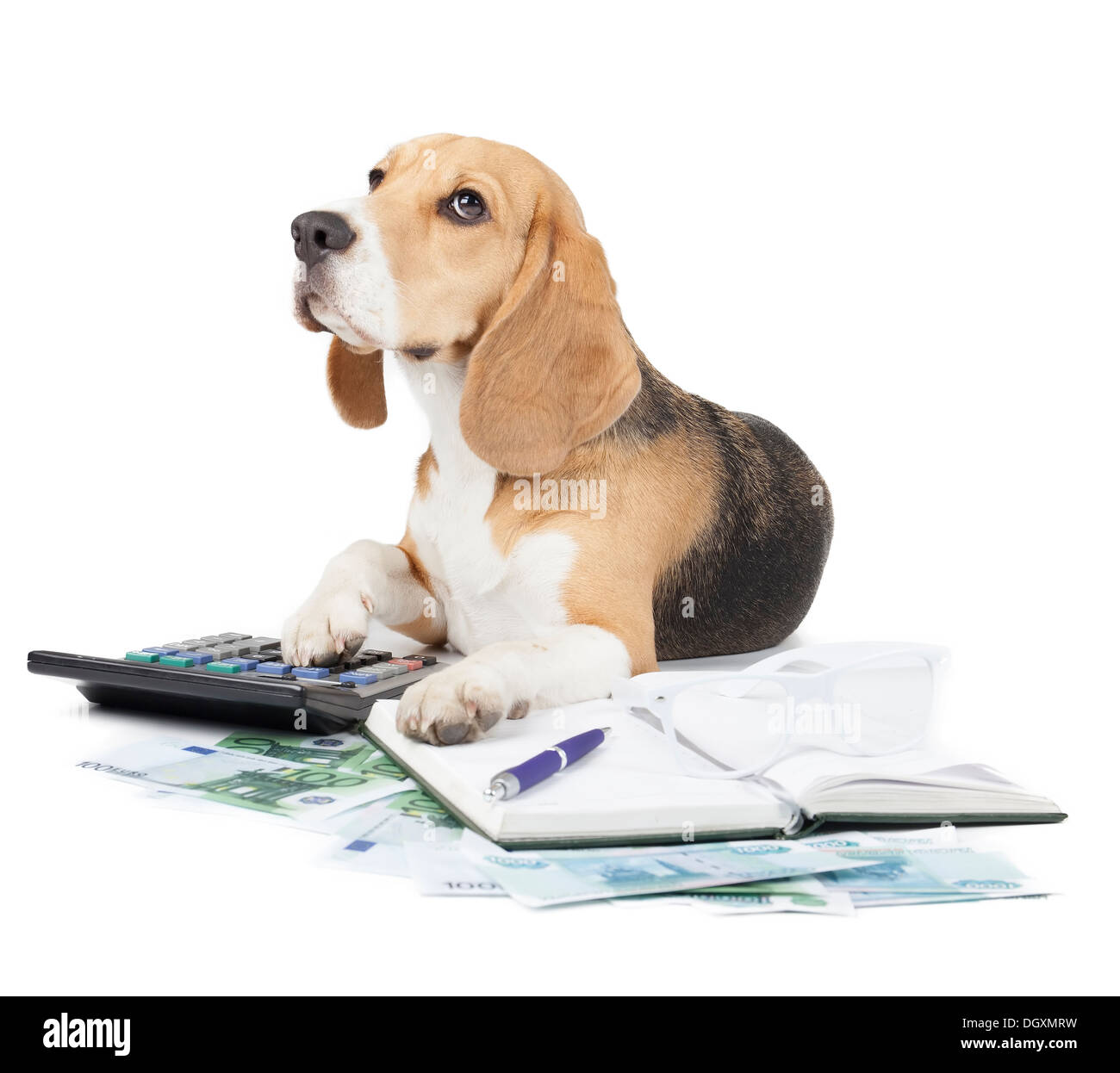 business dog typewriter on a white background Stock Photo