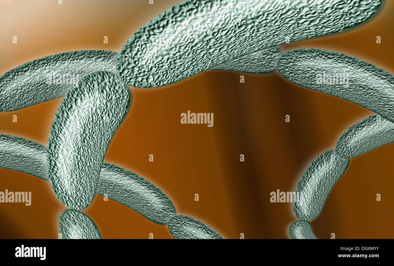 String Bacteria Bacteria strung together, illustration Stock Photo - Alamy