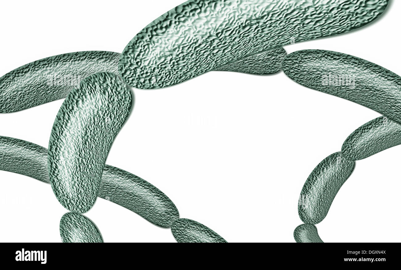 Bacteria strung together, illustration Stock Photo - Alamy