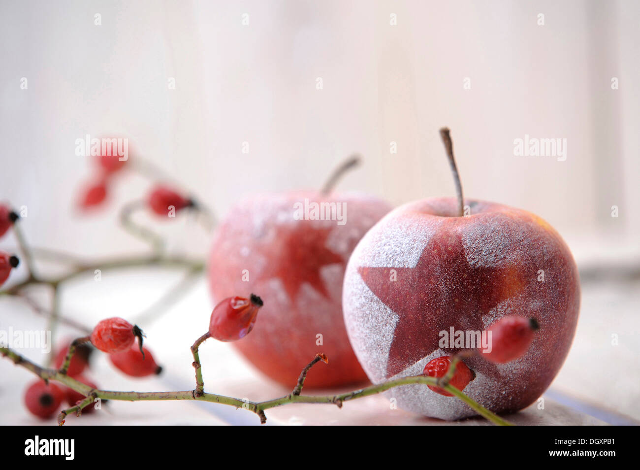 Christmas ambience with red apples and rosehips Stock Photo