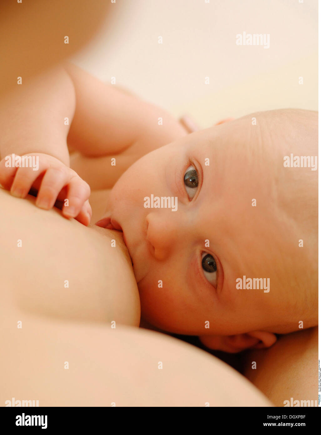 Infant breastfeeding Stock Photo