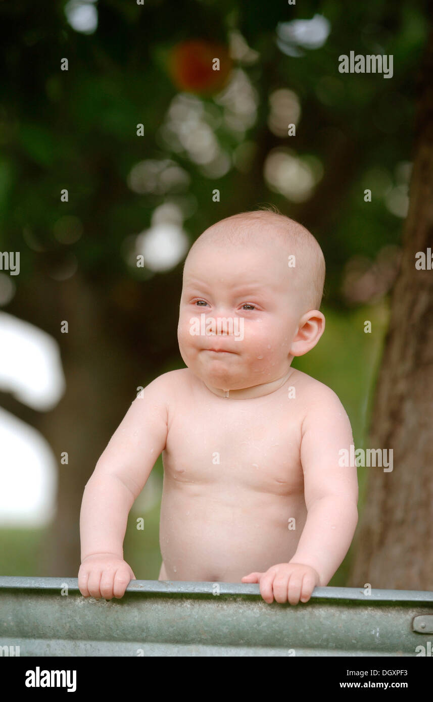 Baby, one year, bathing in a zinc tub outdoors Stock Photo Alamy
