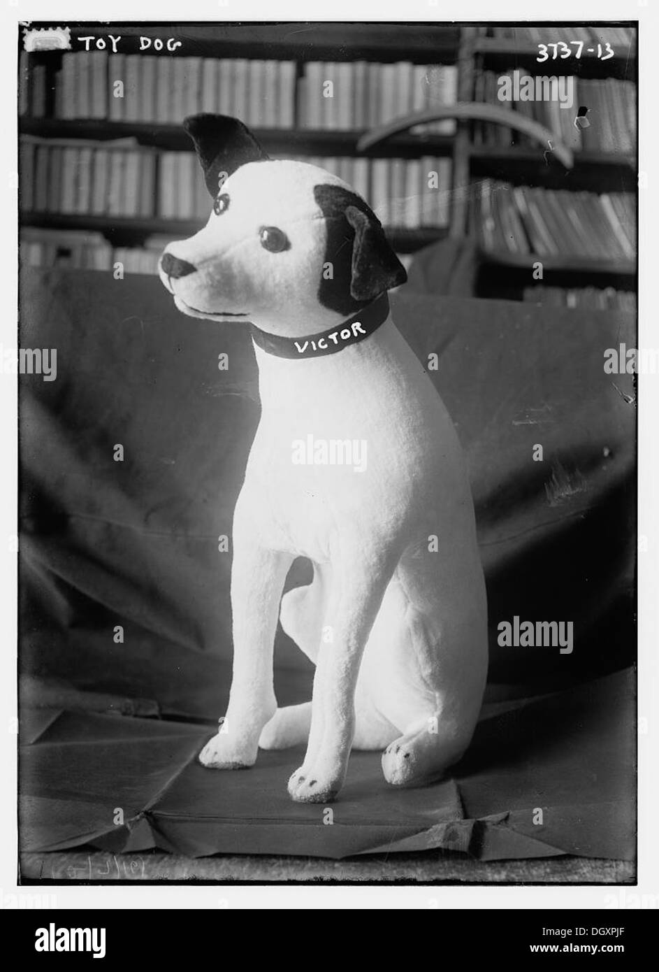 Toy dog [Victor] (LOC) Stock Photo