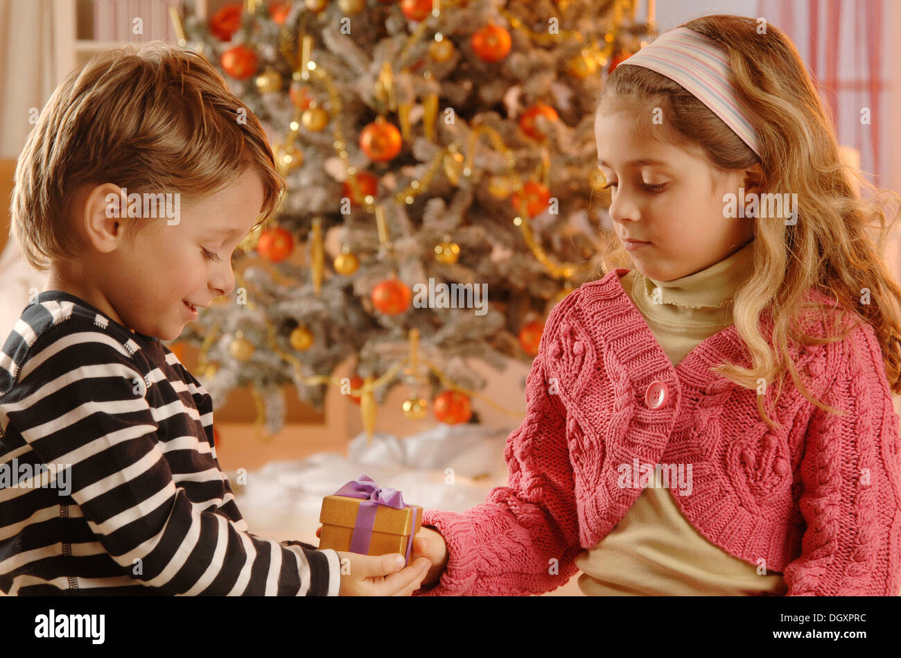 Girl giving a boy a Christmas gift in front of a Christmas tree Stock Photo