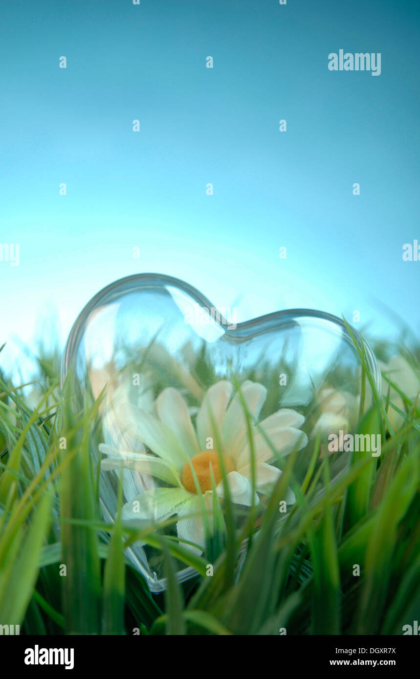 Transparent heart with a flower lying in a meadow Stock Photo