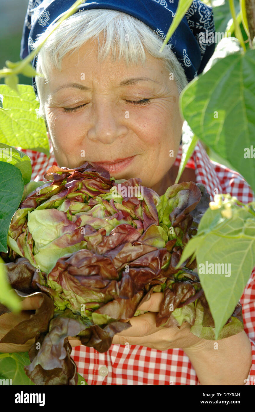 Elderly woman, gray-haired, 55-65, standing in front of bean stalks and smelling a salad in a garden Stock Photo