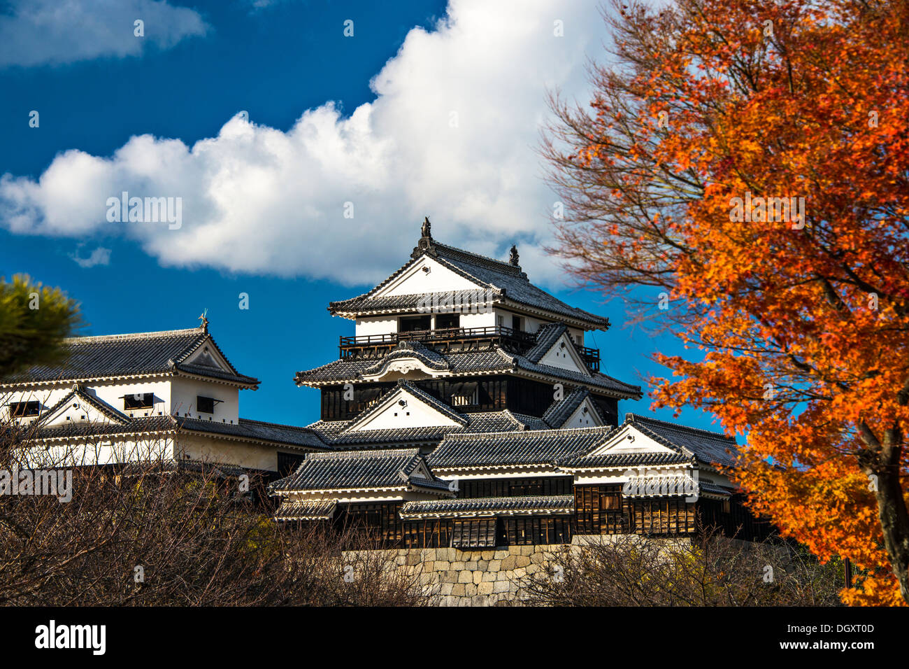 Matsuyama Castle in Matsuyama, Japan. Stock Photo