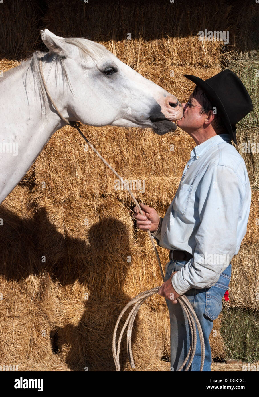 Cowboy kissing his horse Stock Photo Alamy