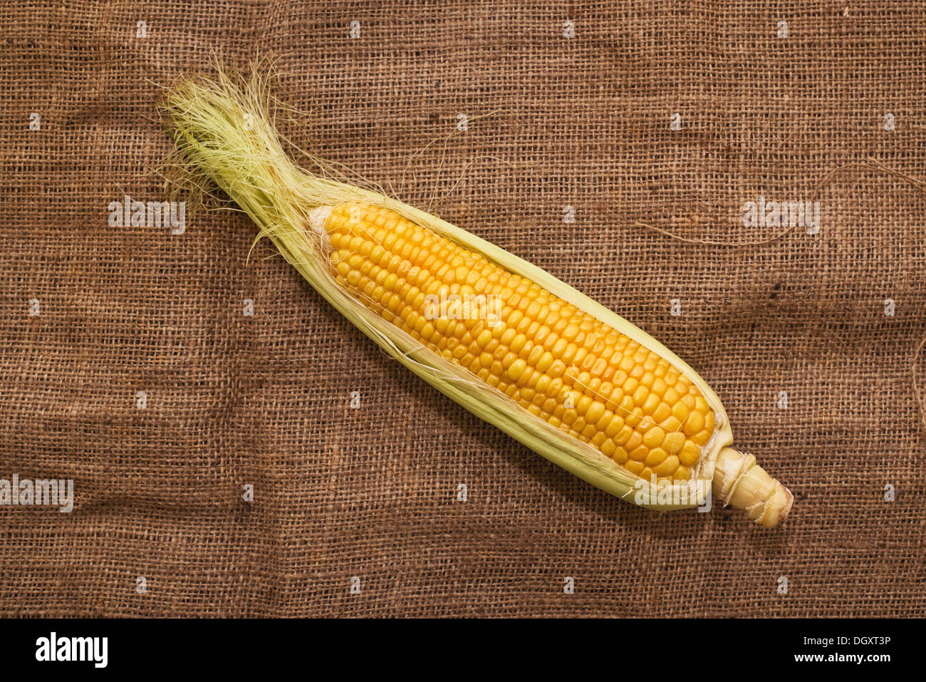Sack of corn hi-res stock photography and images - Alamy