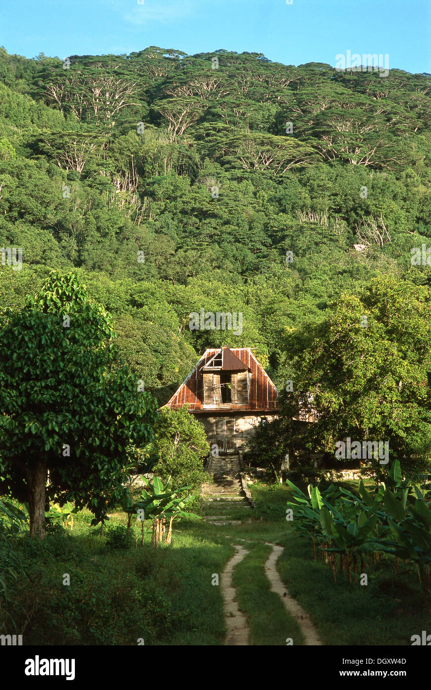 Ramshackle house in the middle of a plantation, Nid dÀigles, La Digue, Seychelles Stock Photo