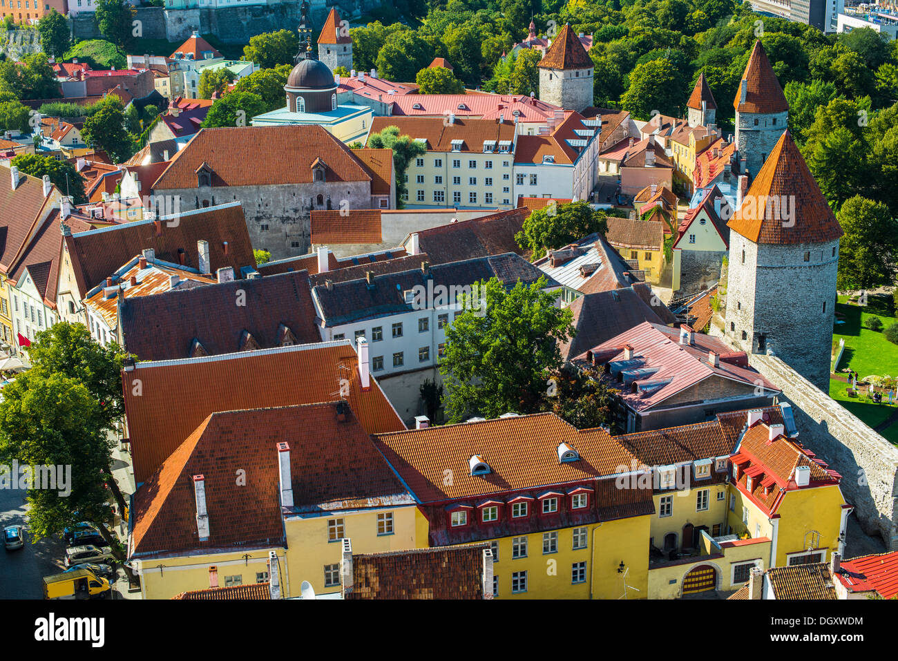 Rooftops of Tallinn, Estonia at the old city. Stock Photo