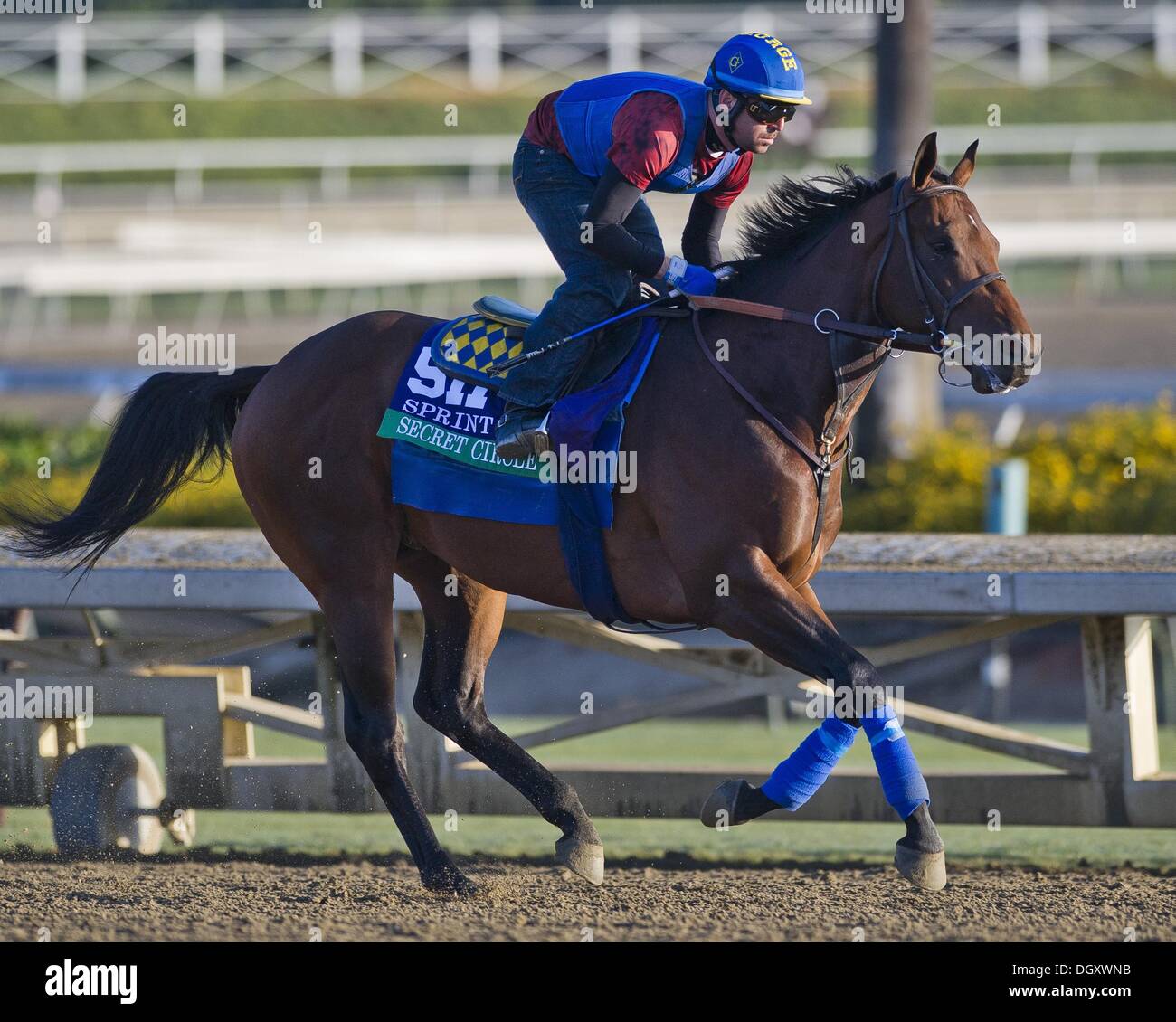 Arcadia, California, USA. 27th Oct, 2013. Secret Circle, trained by Bob