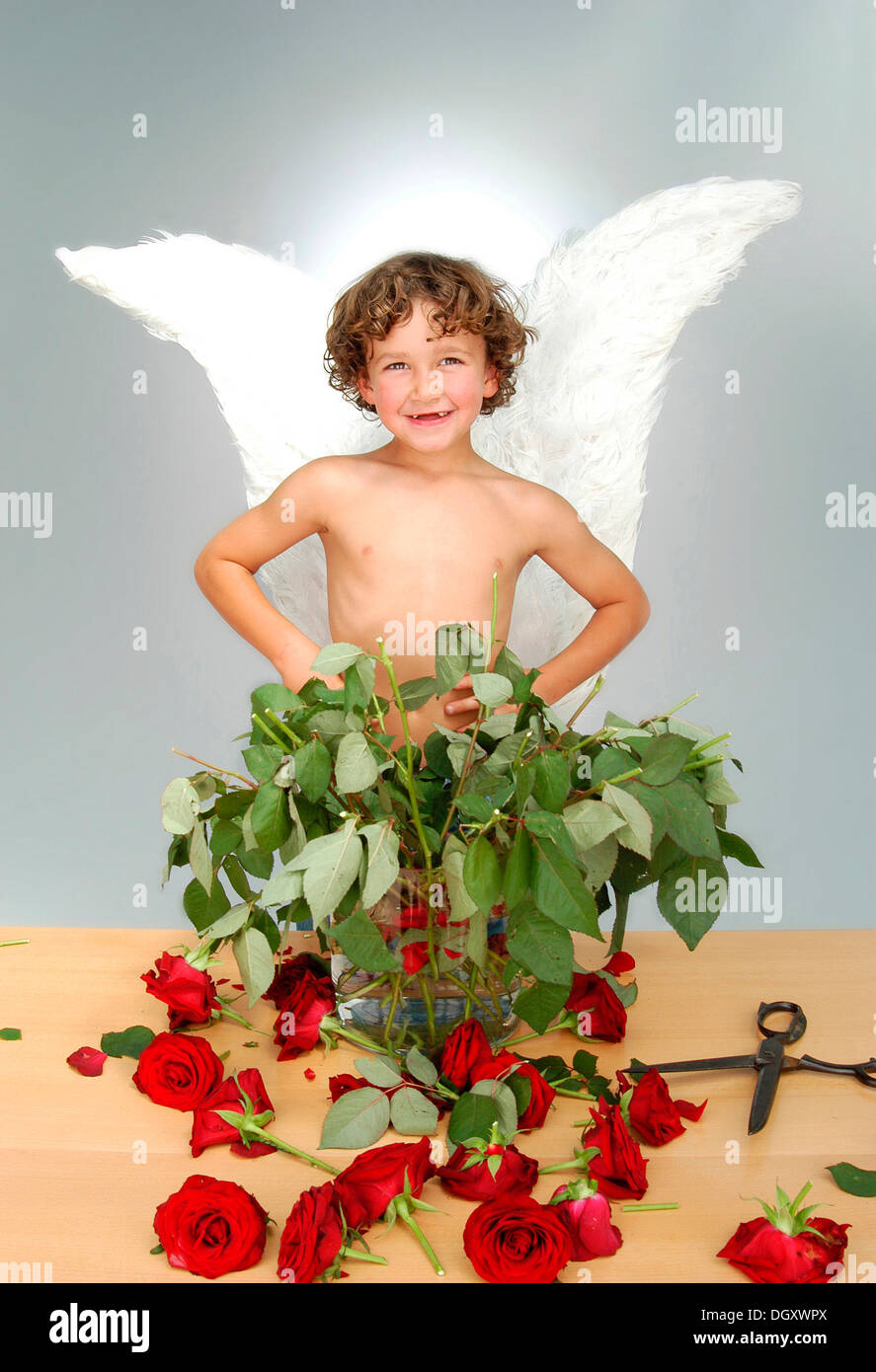 Boy with angel wings, after cutting the heads off a bouquet of roses with a large pair of scissors Stock Photo