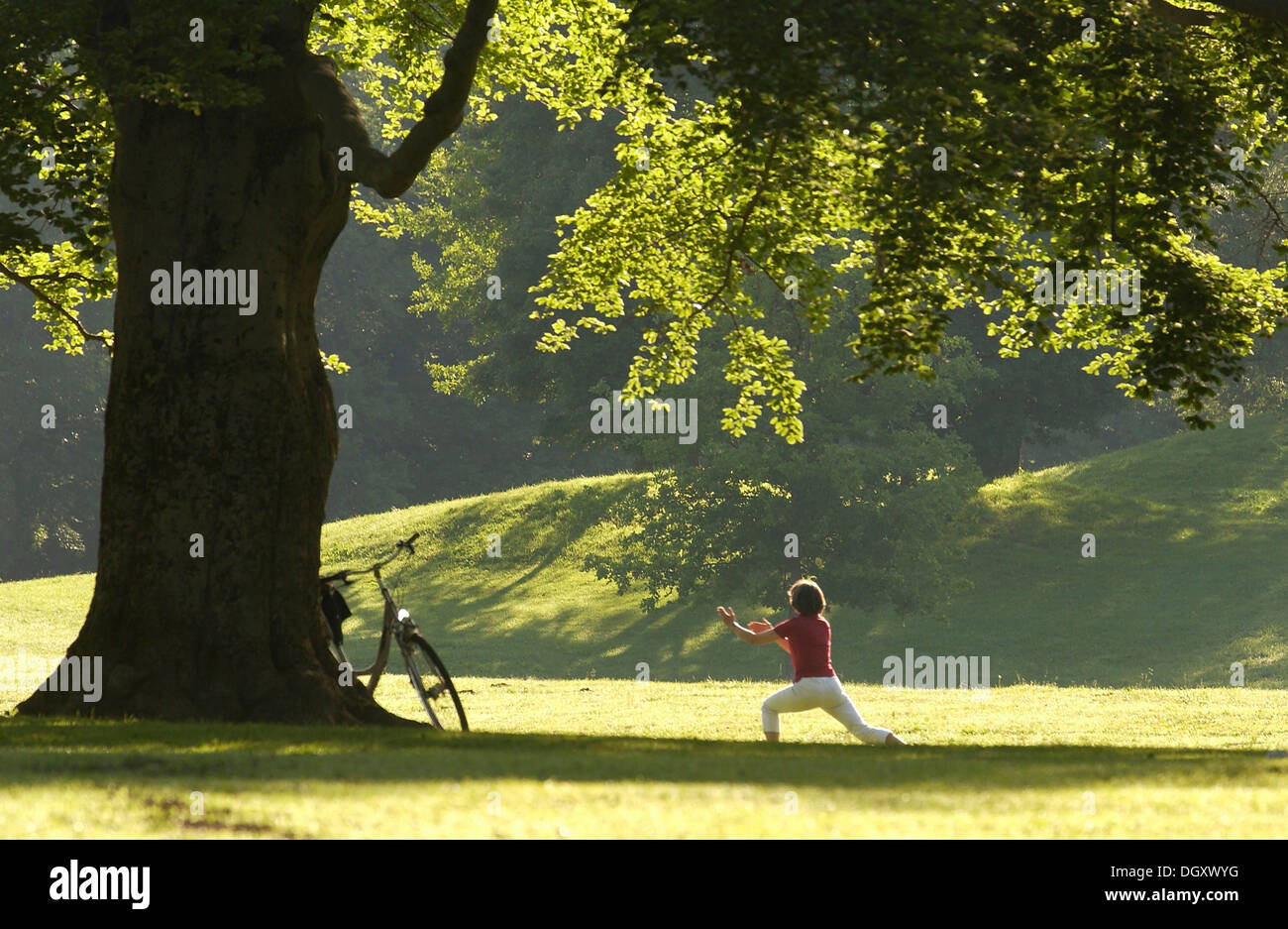 Woman doing yoga exercises in the park in the morning sun, Englischer Garten, Munich, Upper Bavaria, Bavaria, Germany Stock Photo
