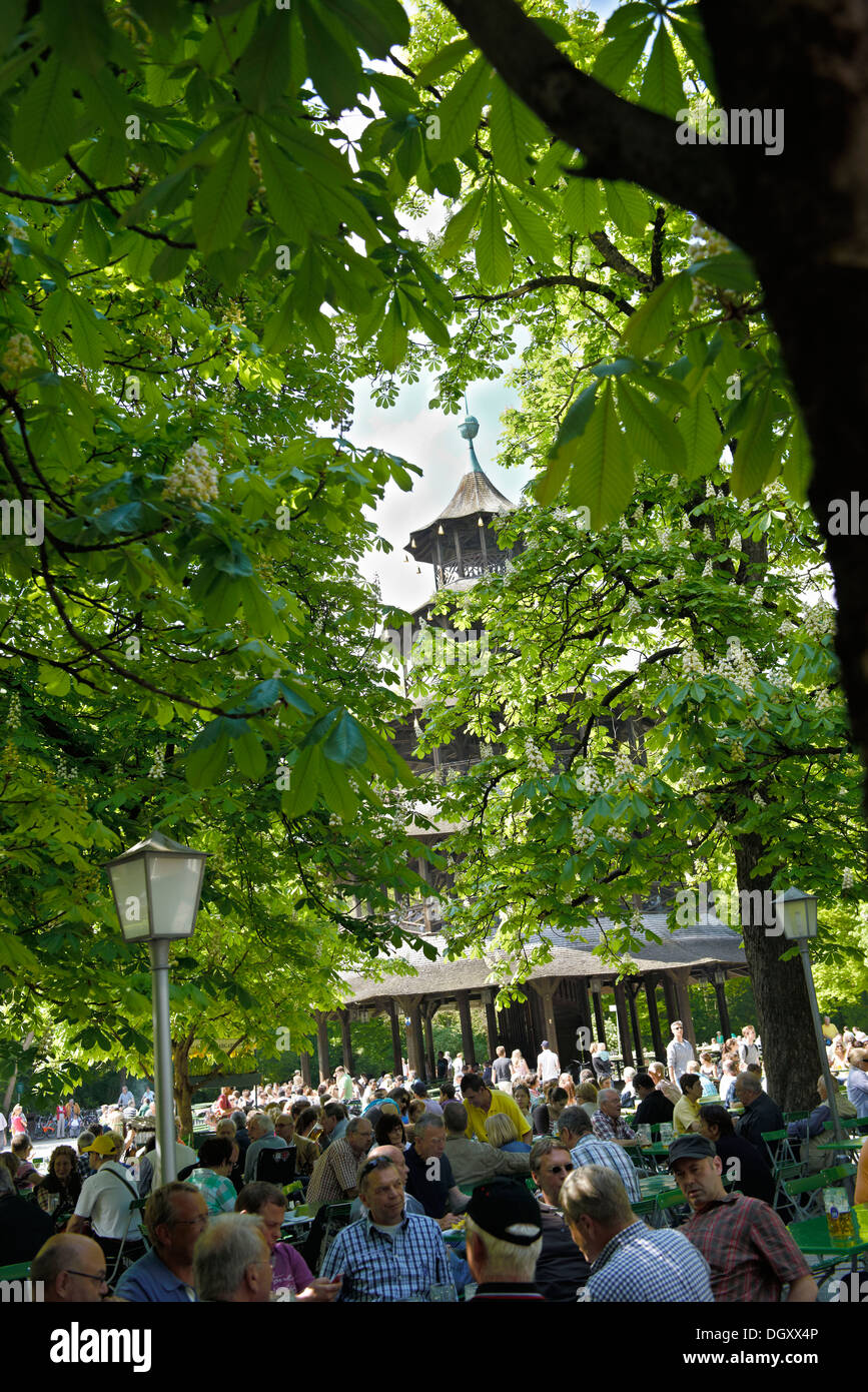 Beer garden at the Chinese Tower with blossoming chestnut trees