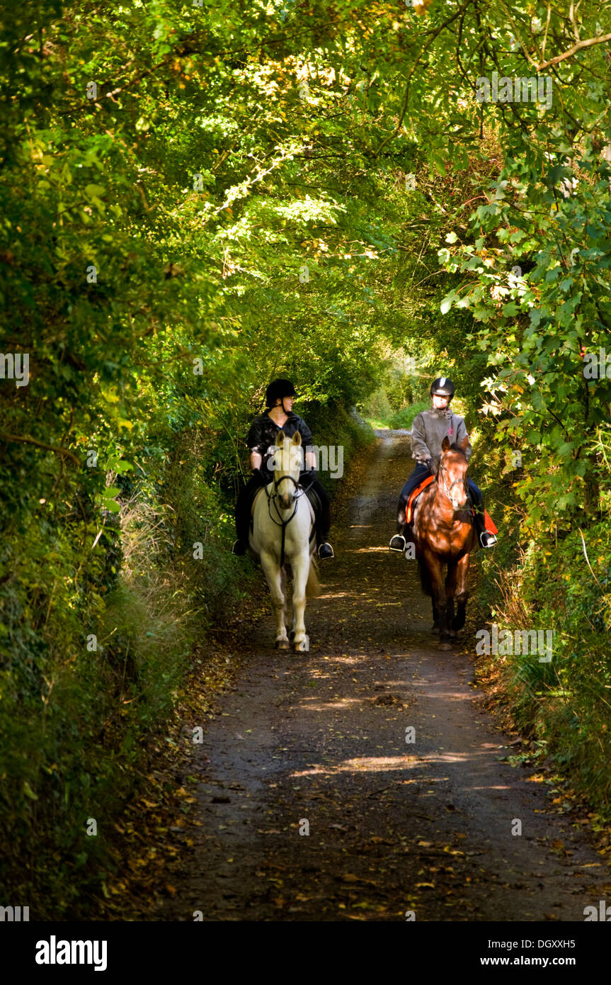 Riders down hi-res stock photography and images - Alamy