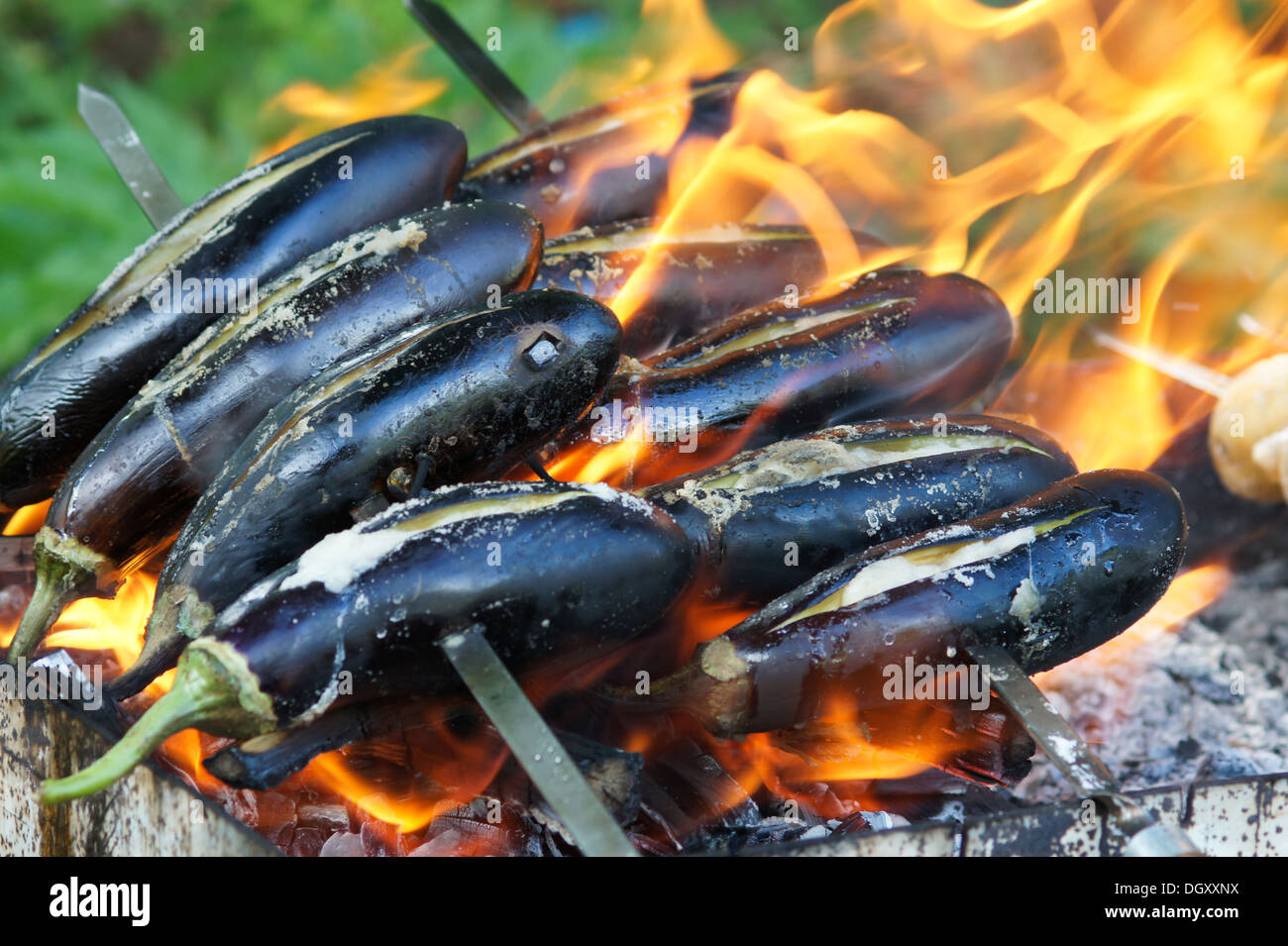 Eggplant barbecue on wooden fire Stock Photo Alamy