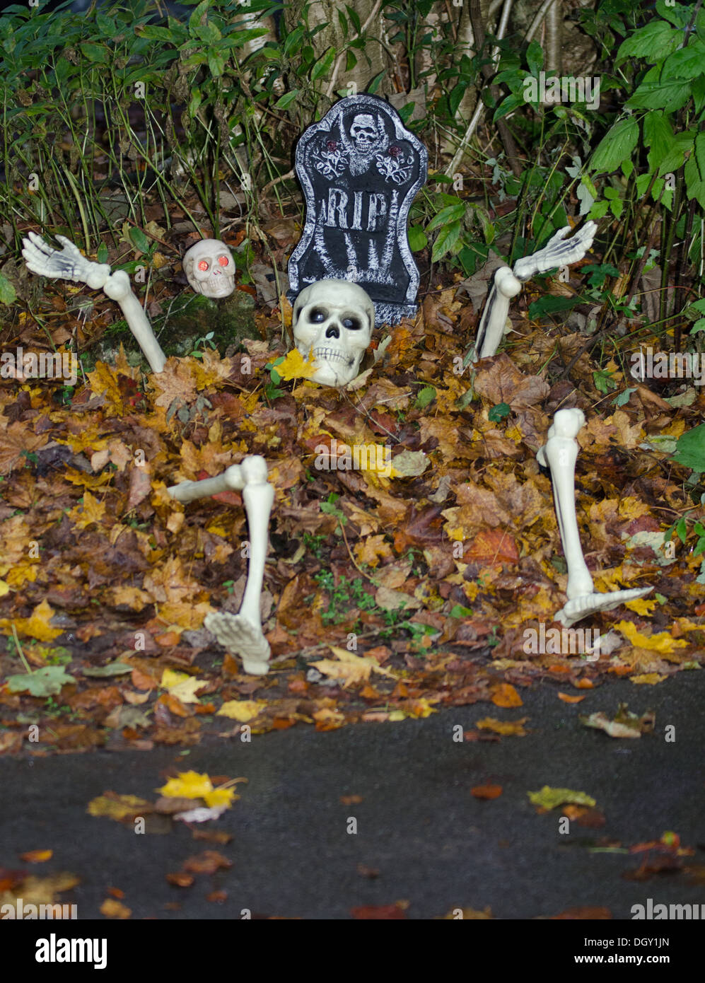 Skeleton halloween grave rip hires stock photography and images Alamy
