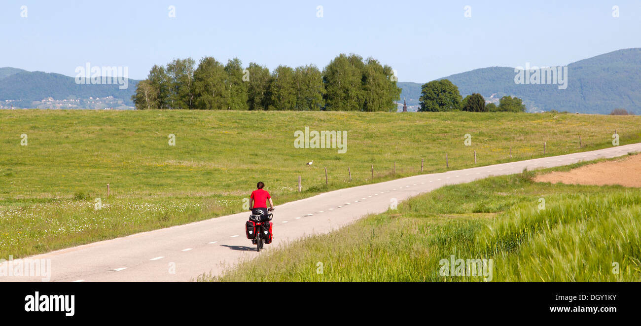 Cyclist on a lonely road in Kolpa Nature Reserve, near Crnomelji, Slovenia, Europe Stock Photo