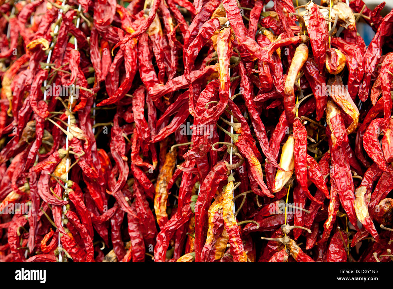 Dried chilli peppers in the vegetable market in Rovinj, Rovingo, Istria, Croatia, Europe, Rovinj, Croatia Stock Photo