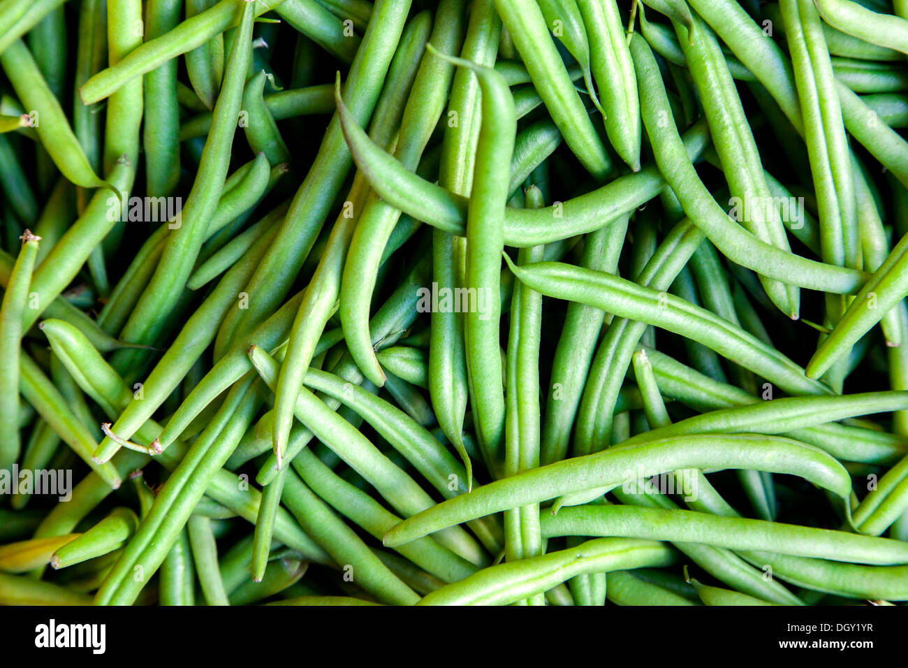 String beans hires stock photography and images Alamy