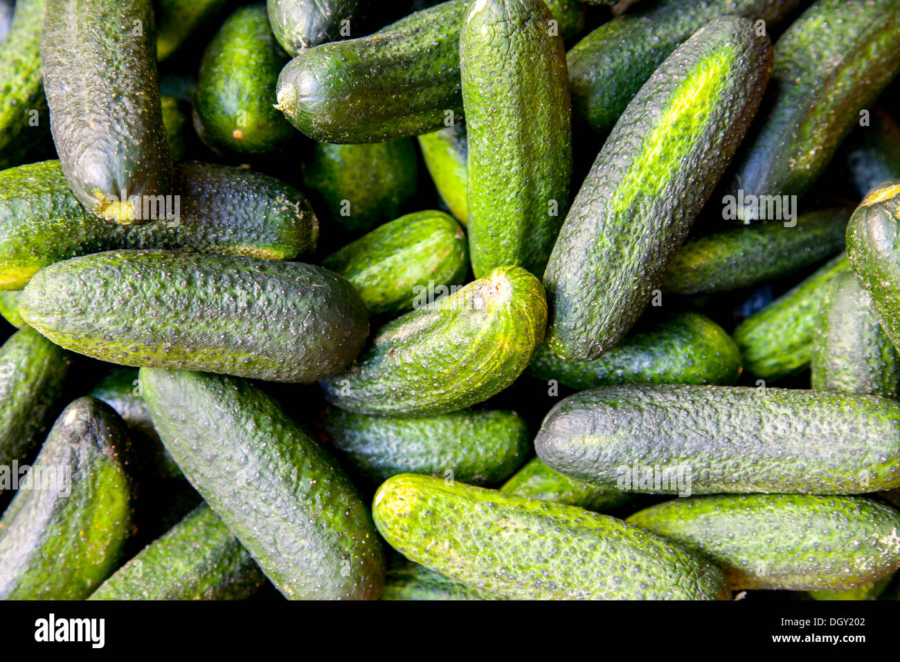 Pickling hires stock photography and images Alamy