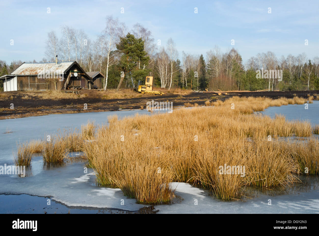 Frozen moor pond with Bulrushes and an old shed, Nicklheim, Bavaria Stock Photo