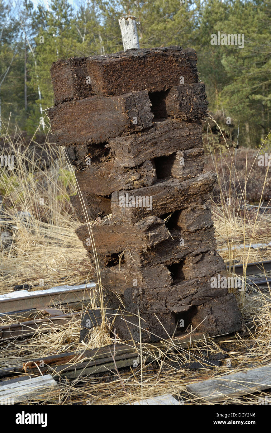 Stacks of peat sods left to dry, peat harvesting, Nicklheim, Bavaria Stock Photo