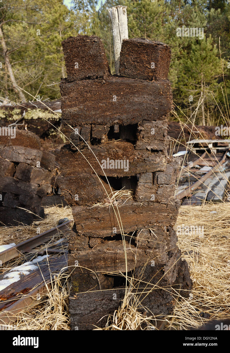 Stacks of peat sods left to dry, peat harvesting, Nicklheim, Bavaria Stock Photo