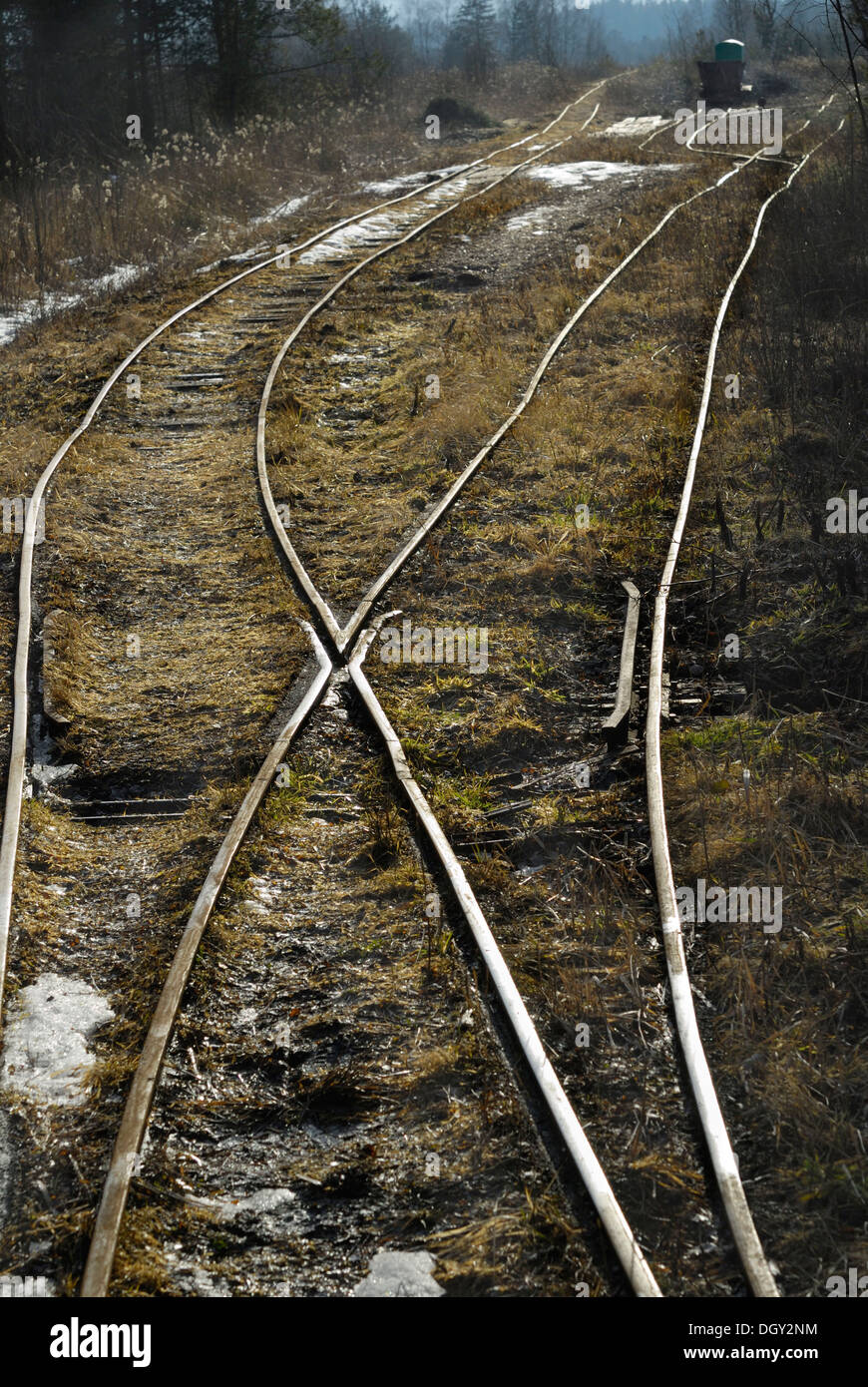 Railway tracks of a Feldbahn or narrow gauge railway, backlighting, old peat extraction area, Nicklheim, Bavaria Stock Photo