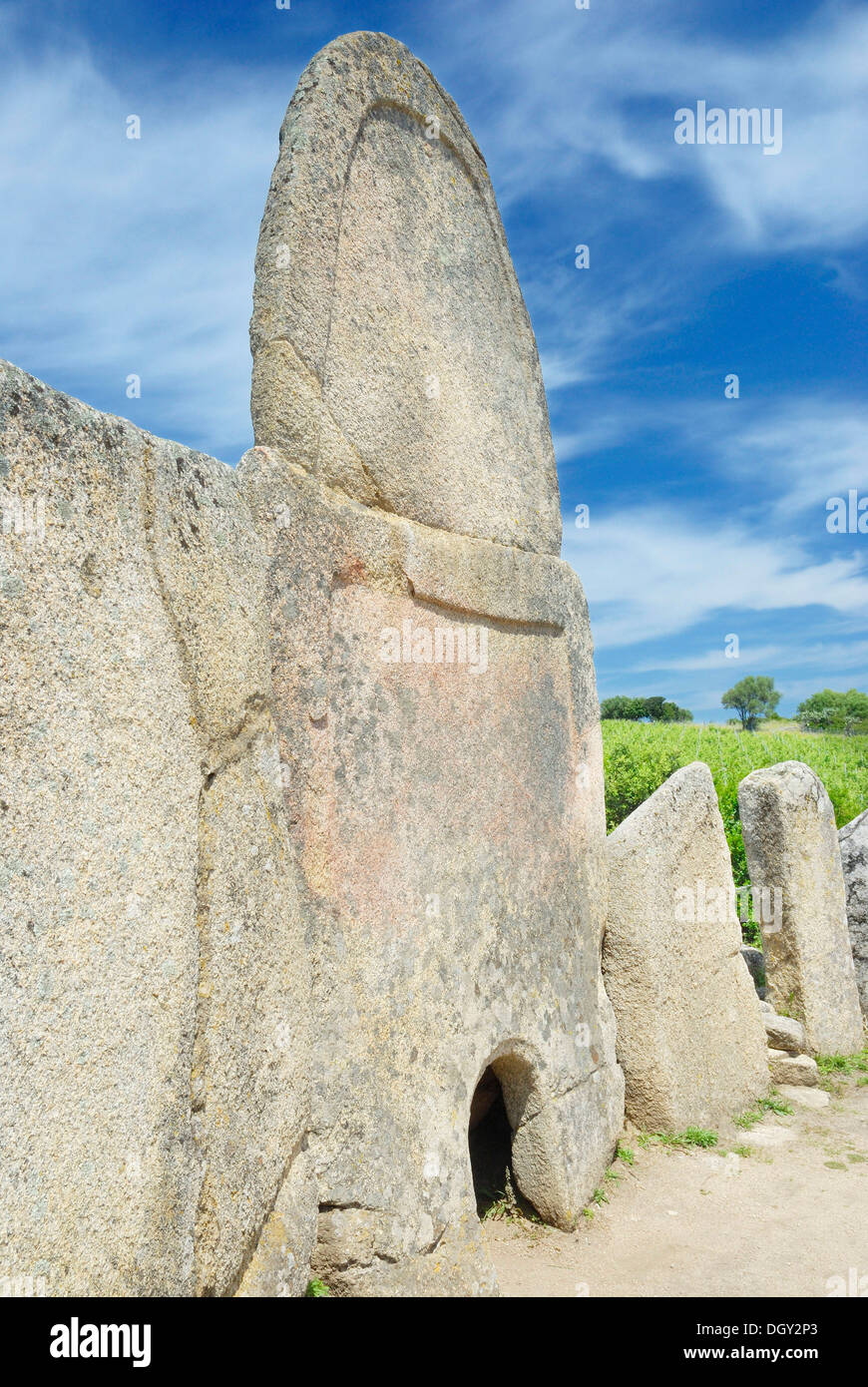 Prehistoric megalithic grave with a granite stele from the Bronze Age, around 1800 BC, Tomba di Giganti Coddu Vecchiu Stock Photo
