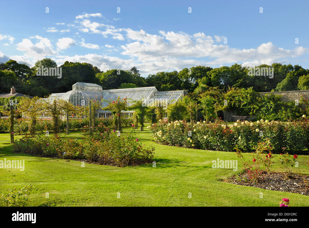 Victorian glass greenhouse in a rose garden in the park of Castle Ardgillan in Skerries, County Dublin, Republic of Ireland Stock Photo