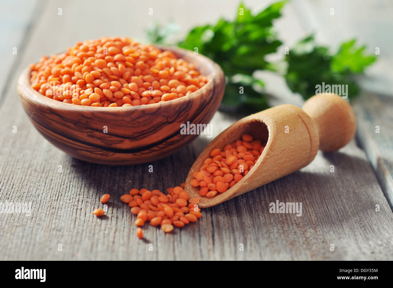 Lentils in wooden bowl with scoop on wooden background closeup Stock Photo