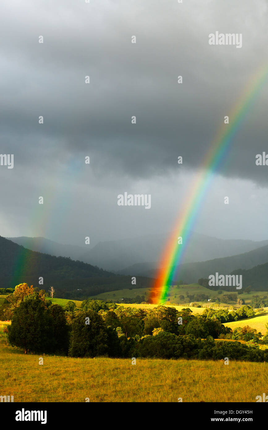 Rainbow shower tree hires stock photography and images Alamy