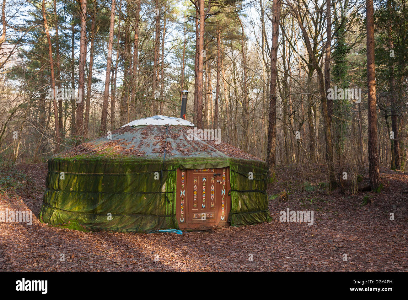 Colourful yurt in woodland clearing Stock Photo