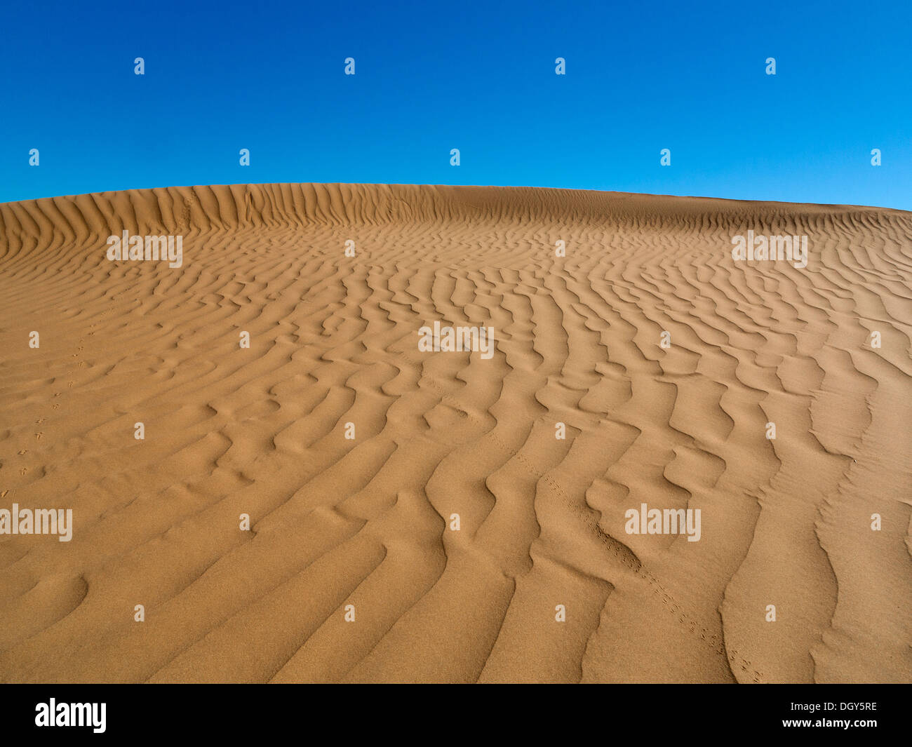 Close up of sand dune ridge against a blue sky Morocco Stock Photo