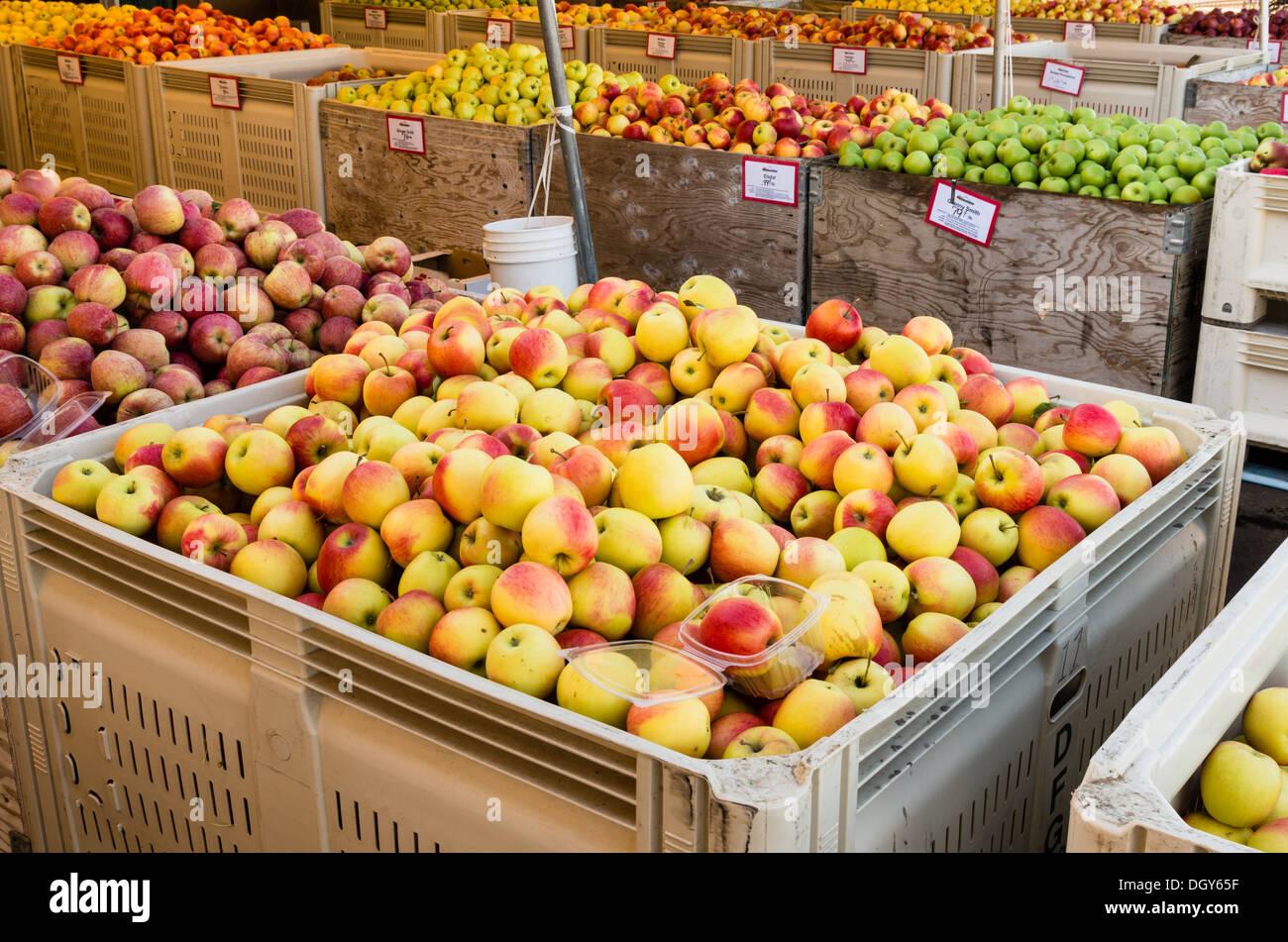 Parkdale, Oregon Apples in bulk bins for sale at a local orchard Stock Photo 62063163 Alamy