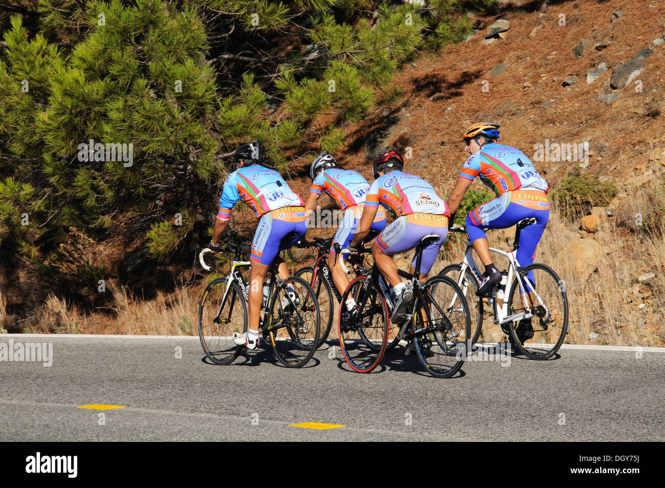 Cyclists training on a mountain road, Puerto de Alijar, Costa del Sol, Malaga Province, Andalusia, Spain. Stock Photo