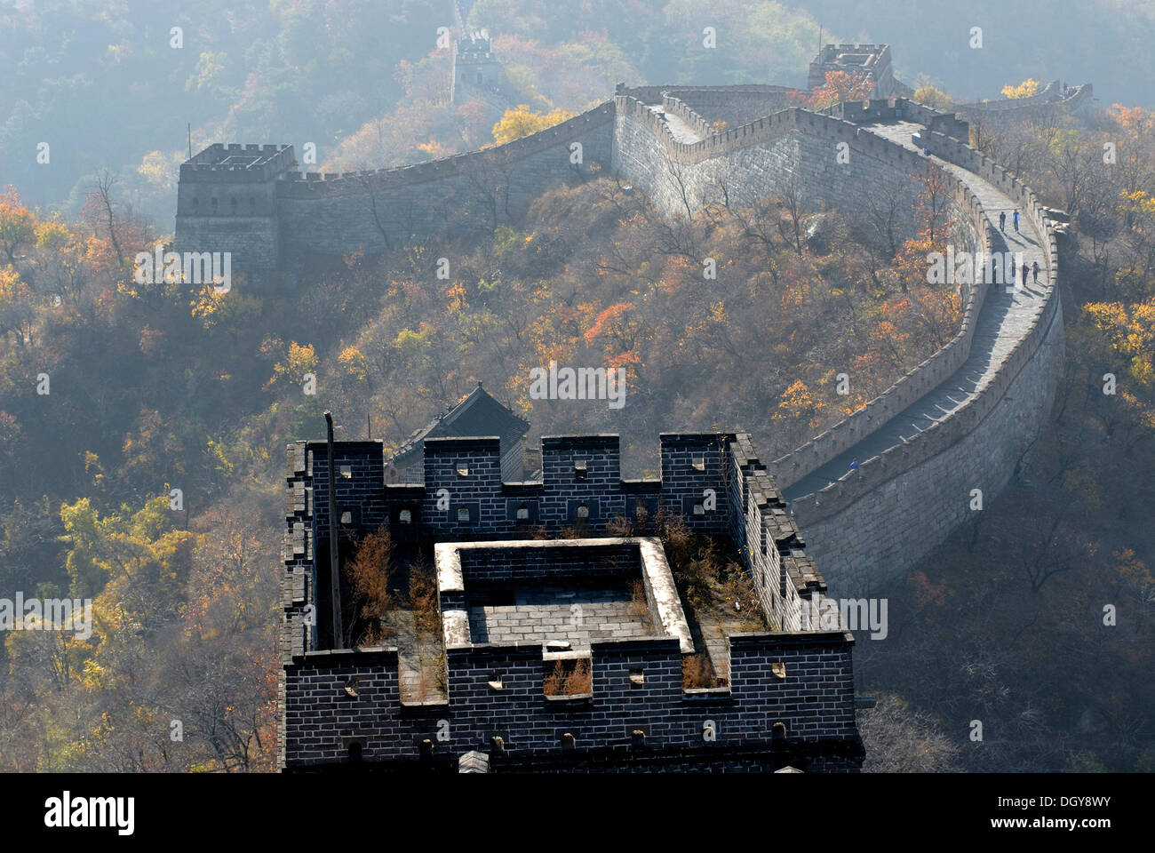 Tower of the Great Wall of China near Mutianyu, autumnal colours, near Beijing, China, Asia Stock Photo