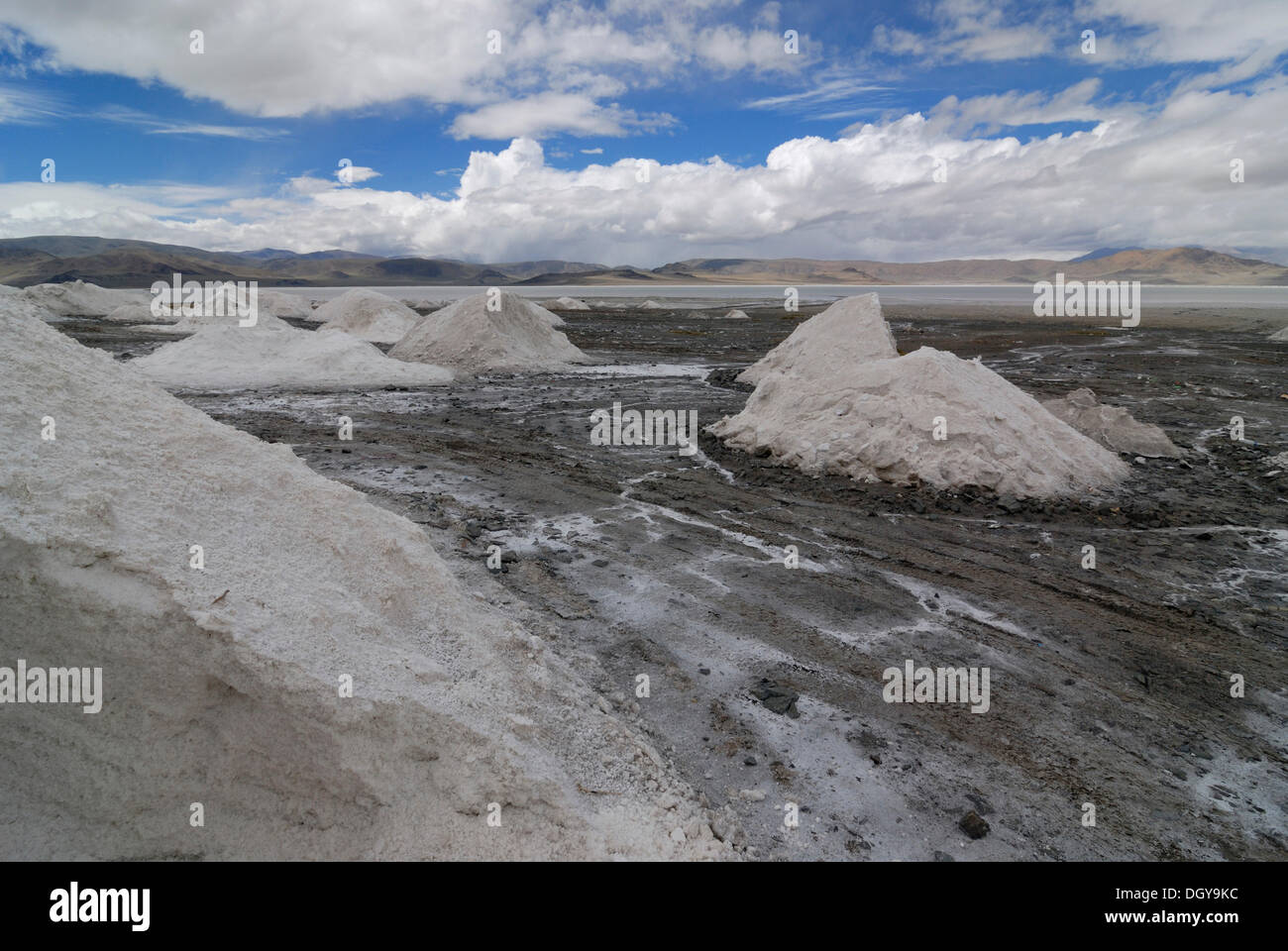 Salt in front of a salt lake in the Drangyer Salt Fields, Drangyer Tsaka, in the high altitude plateau of Changtang Stock Photo