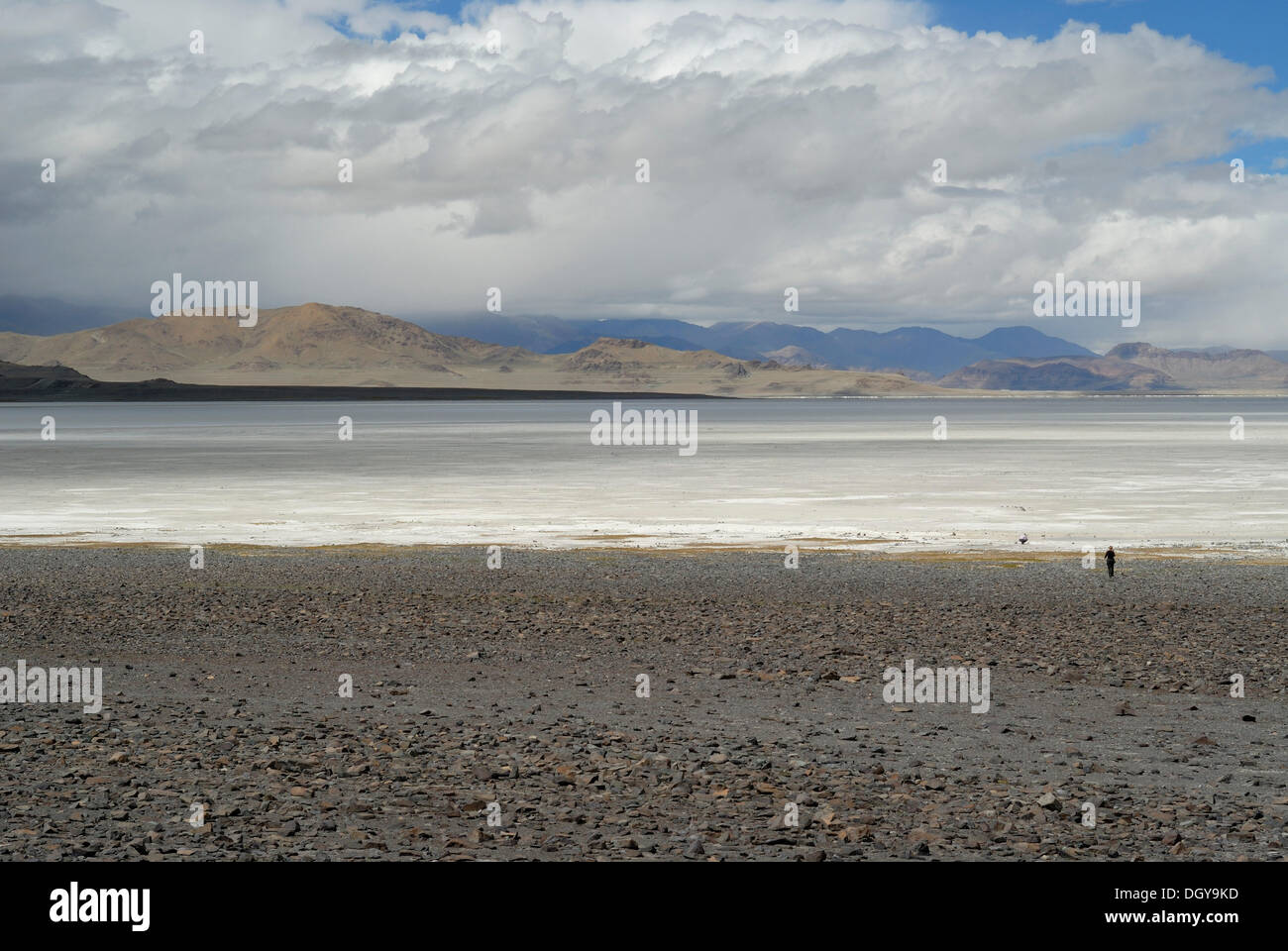 Person walking over a salt lake in the Drangyer Salt Fields, Drangyer Tsaka, in the high altitude plateau of Changtang Stock Photo