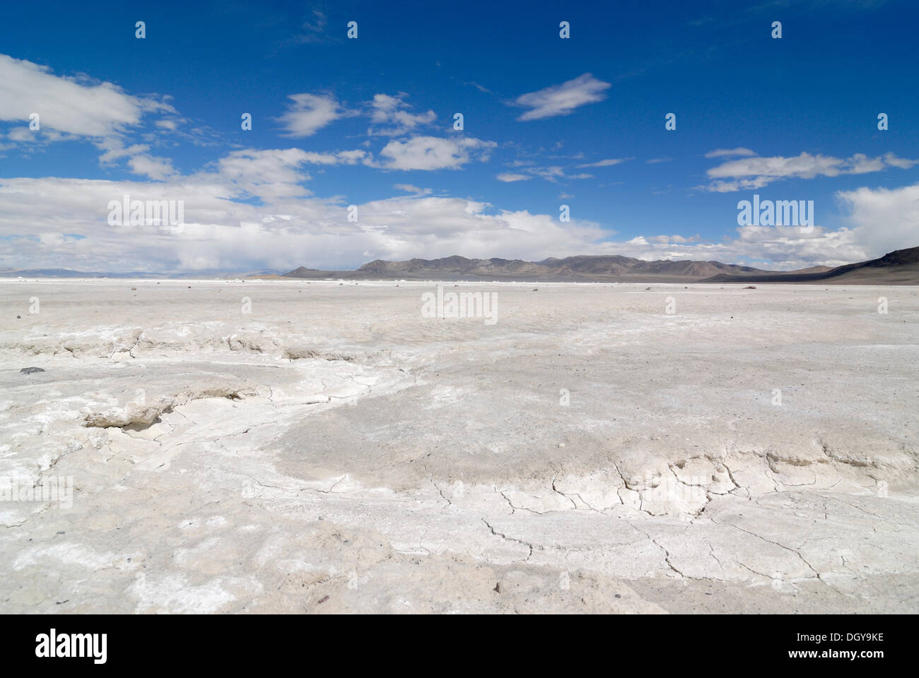 Salt lake in the Drangyer Salt Fields, Drangyer Tsaka, in the high altitude plateau of Changtang, Western Tibet, Ngari Province Stock Photo