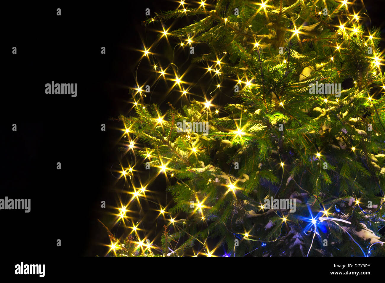 Christmas tree night with lights Stock Photo - Alamy