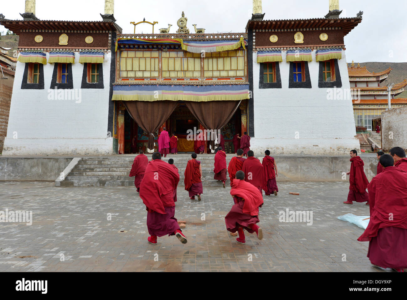 Tibetan Buddhism, Tibetan monks in red monk's robes running to the Puja ceremony in the monastery building, building in Stock Photo