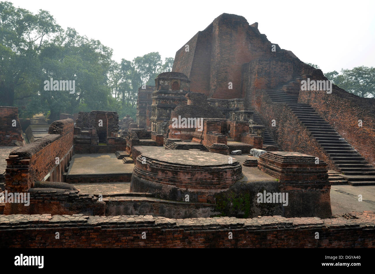 Archaeological site and important Buddhist pilgrimage destination, ruins of the ancient University of Nalanda, Ragir, Bihar Stock Photo