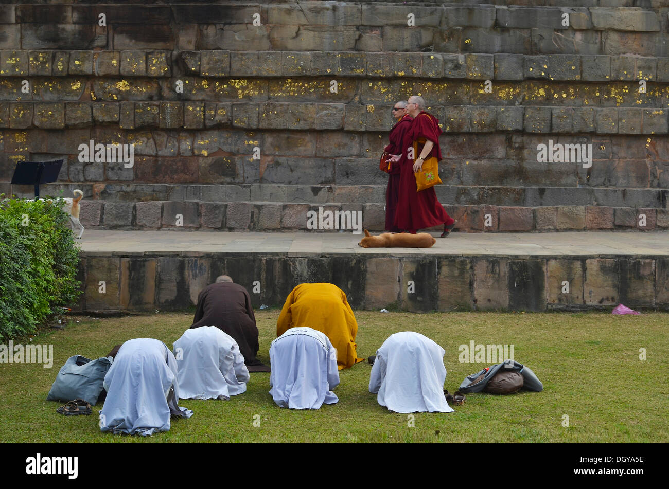 Western and Asian Buddhist nuns and monks, historical Buddhist pilgrimage site, Dhamekh Stupa, Game Park of Isipatana, Sarnath Stock Photo