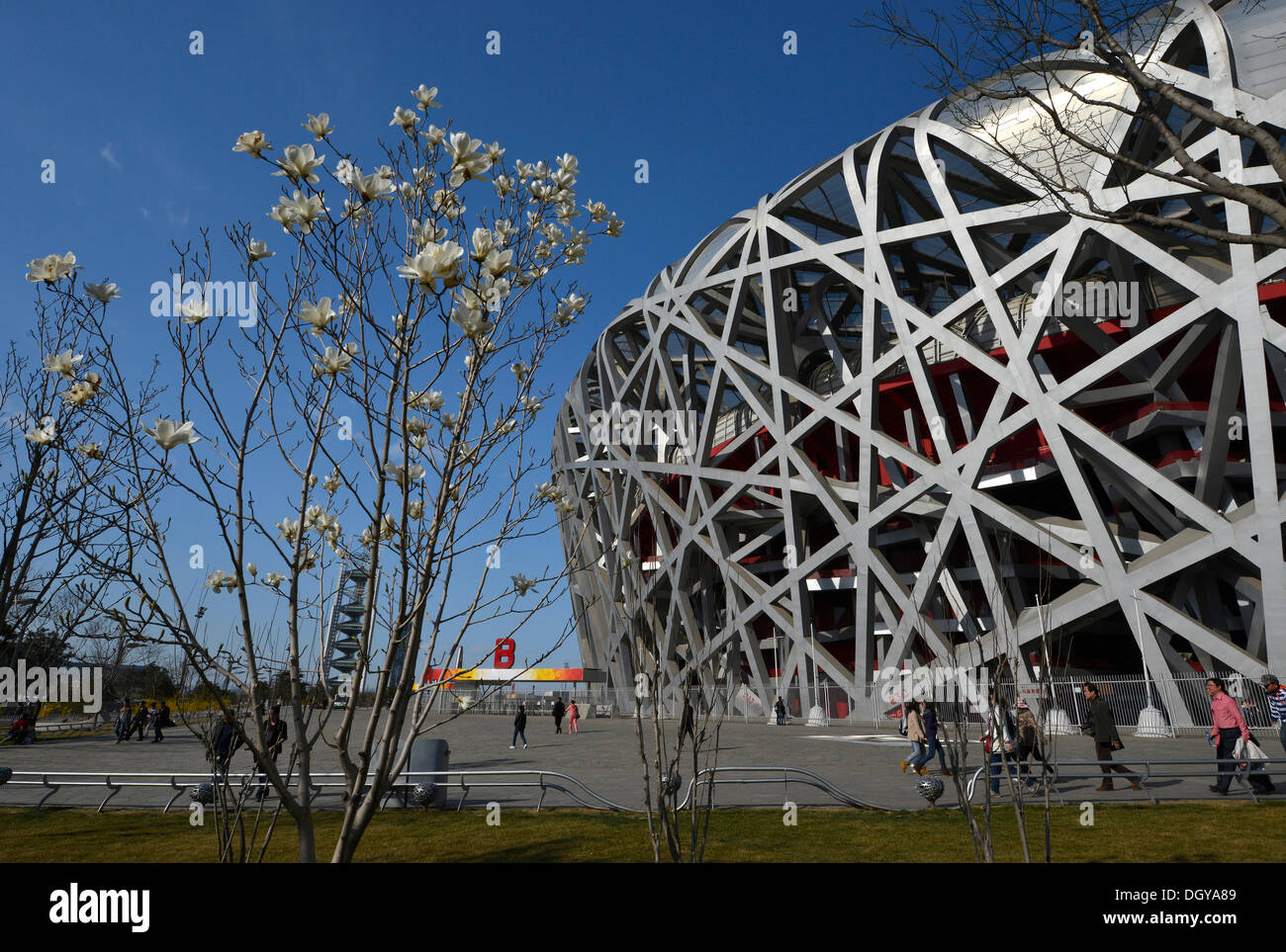 Beijing Olympic Stadium, National Stadium, Bird's Nest, Olympic Green 