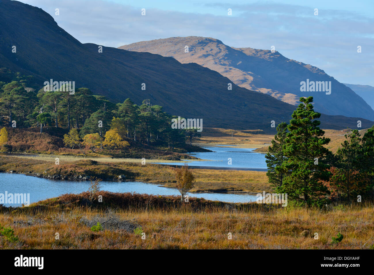 Torridon, Beinn Eighe National Nature Reserve, SNH, Kinlochewe, Scottish Highlands, Wester Ross, Scotland, United Kingdom Stock Photo