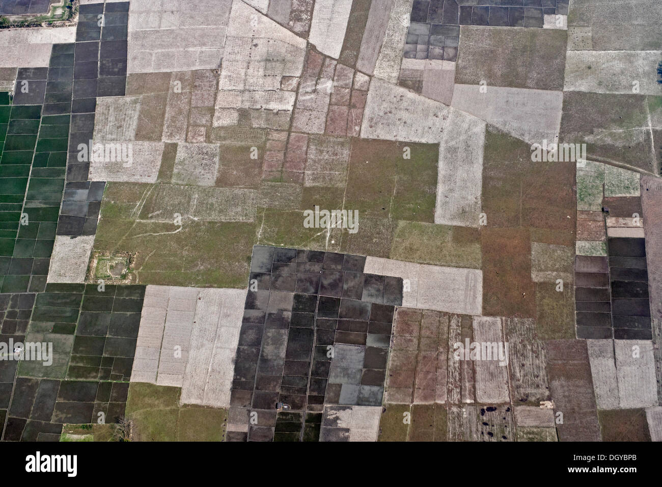 Aerial view of fields near Guwahati, Assam, India, Asia Stock Photo