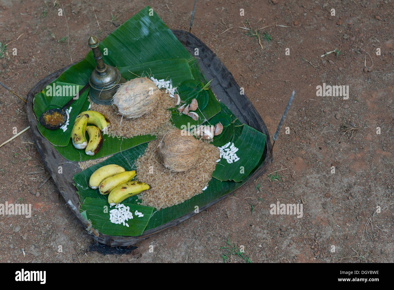Ritual offerings on a banana leaf, Theyyam ceremony in Kasargod, Kerala, Southern India, India, Asia Stock Photo
